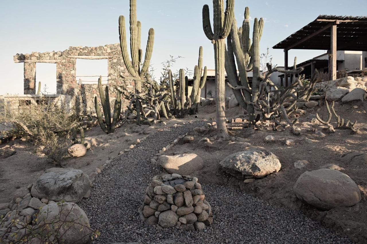 Desierto Azul Hotell Todos Santos Exteriör bild